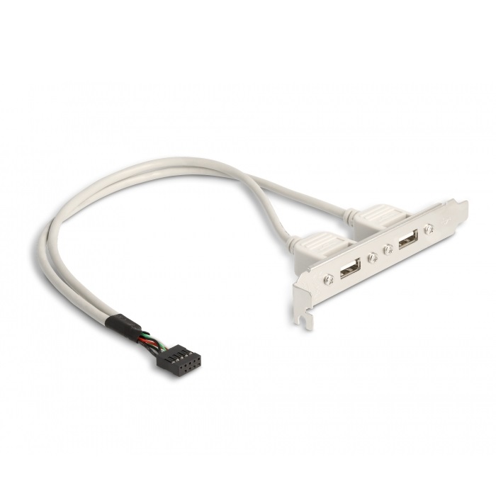Delock Slot bracket 2 x USB-A 2.0 (71000)