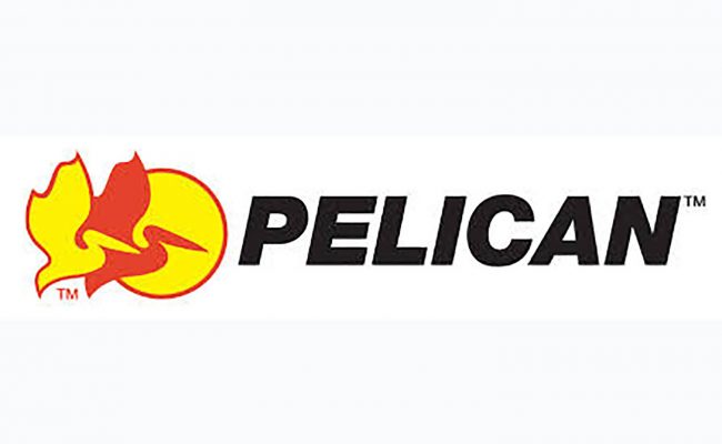 Pelican
