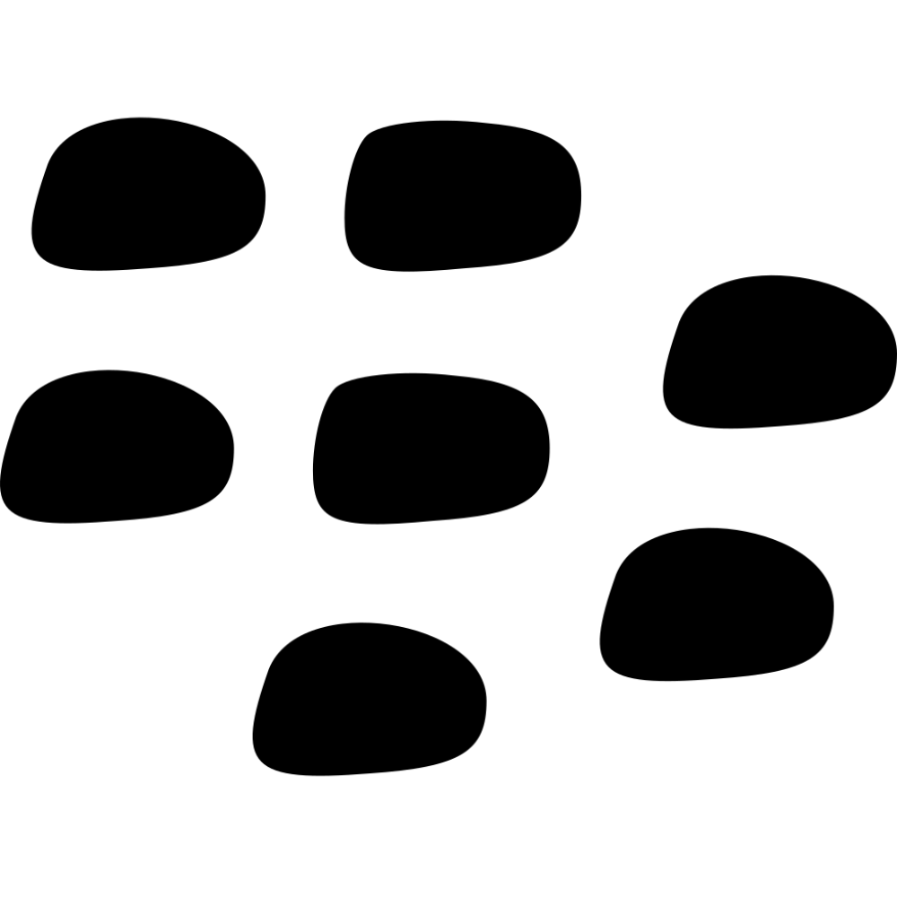 BlackBerry