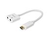 Equip USB-C 2.0 > Audio Adapter (133460)