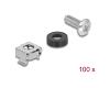 Delock M6 Mounting Kit for Network Cabinet 100pcs Silver (42432)