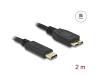 Delock USB-C 5Gbps Cable > USB Micro-B 2m (81160)