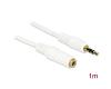 Delock Stereo Extension Cable 3.5mm 3pin M/F 1m White (83765)