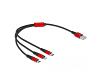 Delock USB-A > Lightning / 2 x USB TypeC 30cm (86708)