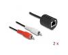 Delock Stereo Audio Extender RJ45 > 2 x RCA Plug 2pc Set (87857)