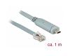 Delock Cisco Adapter USB-C 2.0 > Serial RS-232 RJ45 1m (89893)